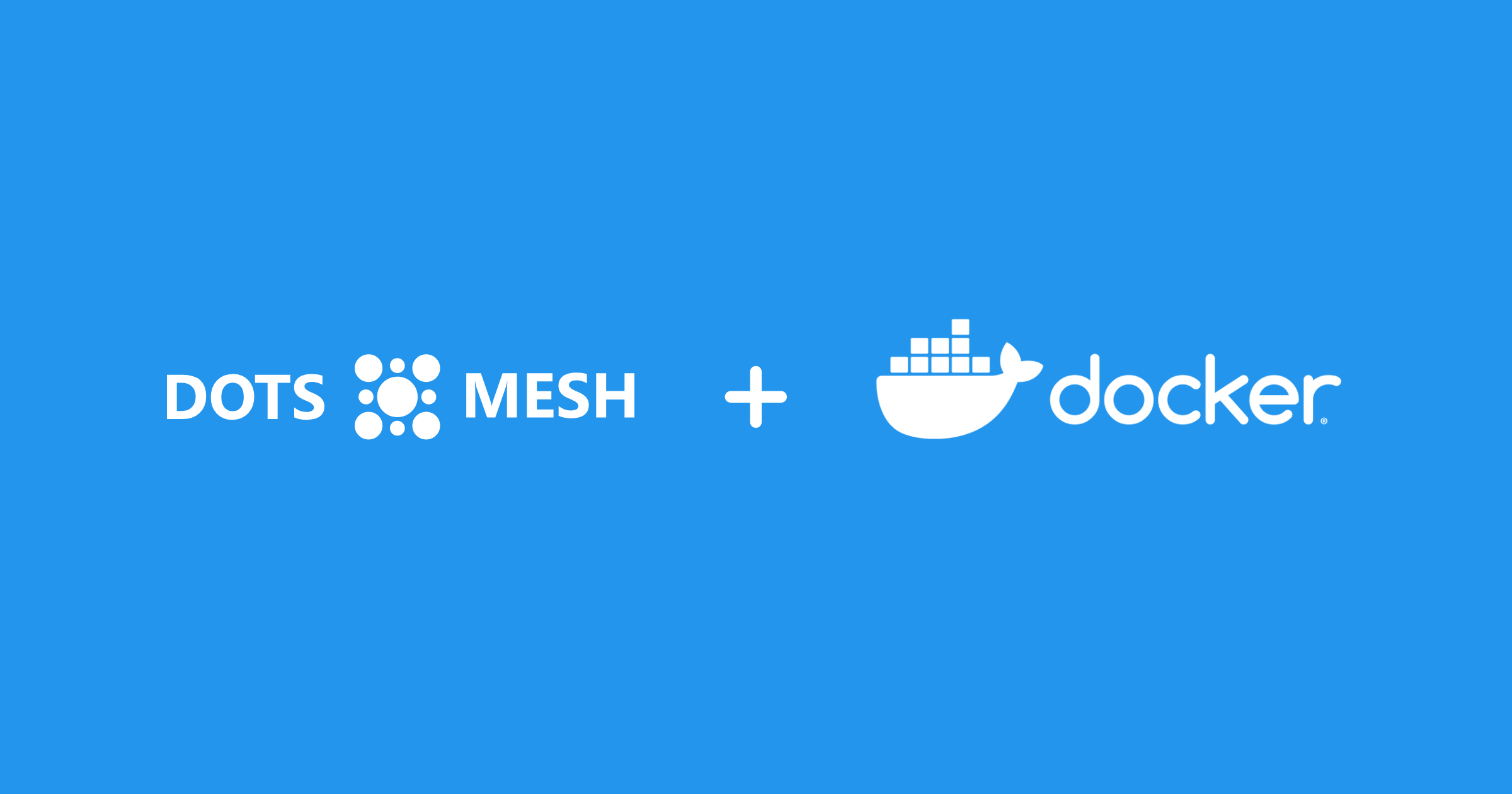 The official news about the Dots Mesh platform